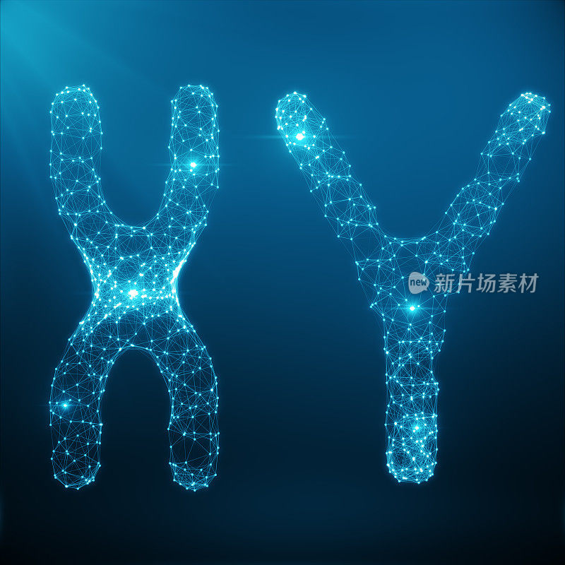 xy -染色体概念用于人类生物学、医学符号、基因治疗或由多边形组成的微生物遗传学研究。低多边形插图由线，点和形状，3D渲染